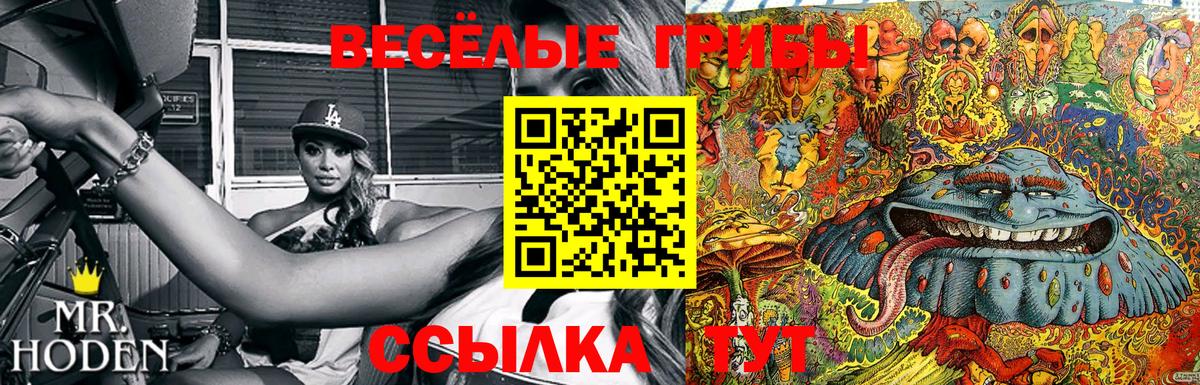 Псилоцибиновые грибы Psilocybine cubensis Сызрань