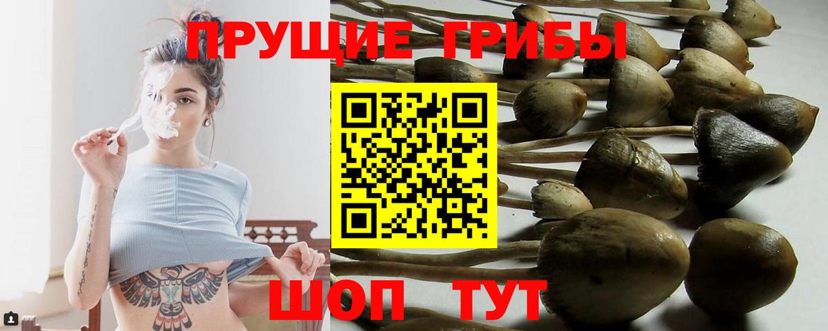 Галлюциногенные грибы Magic Shrooms  Вход с VPN  Сызрань 